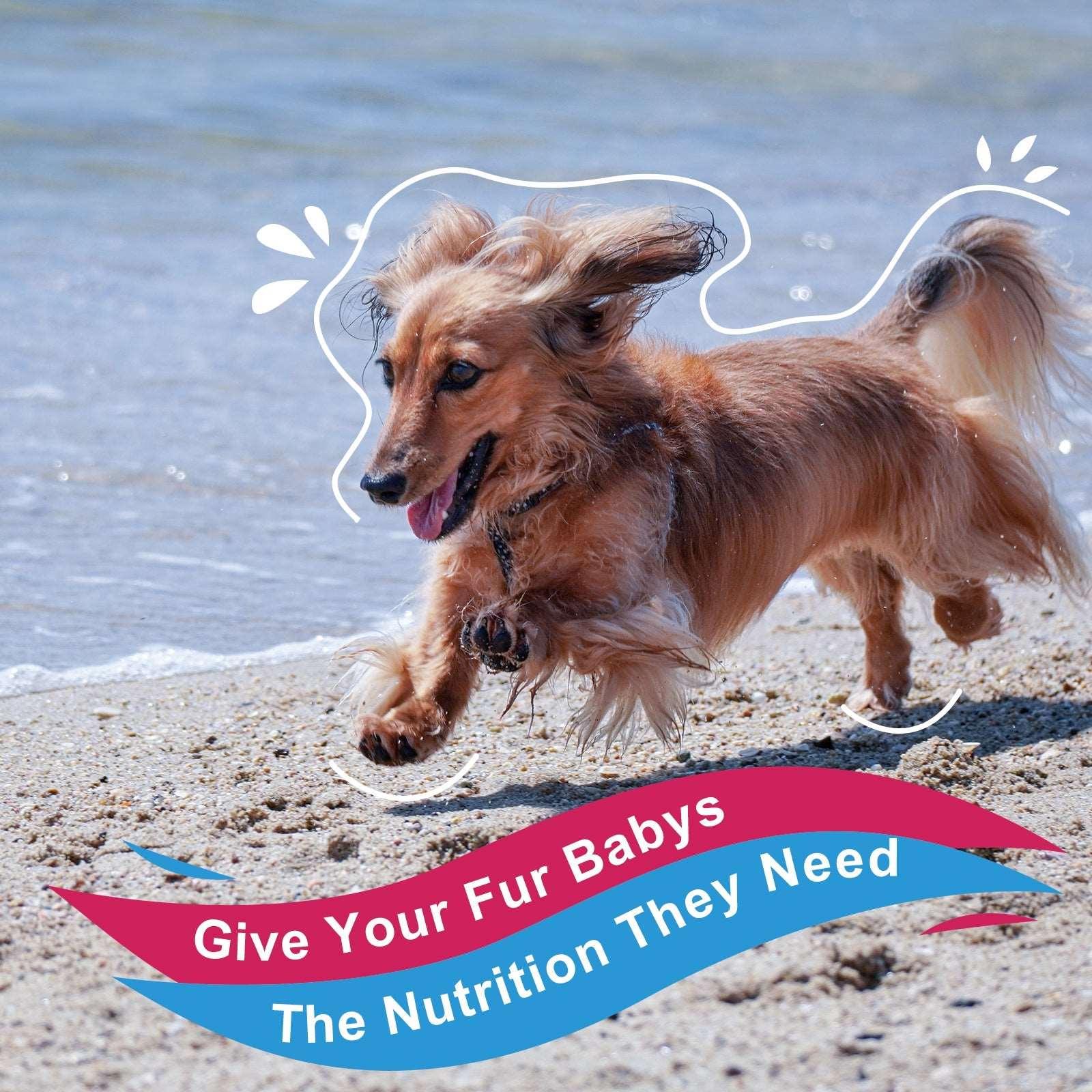10-in-1 Vitamins for Dog & Cat, 5 Billion CFUs, 90 Scoops