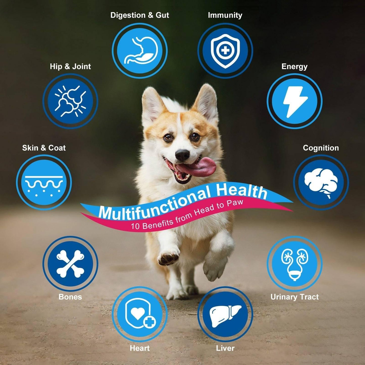 10-in-1 Vitamins for Dog & Cat, 5 Billion CFUs, 90 Scoops