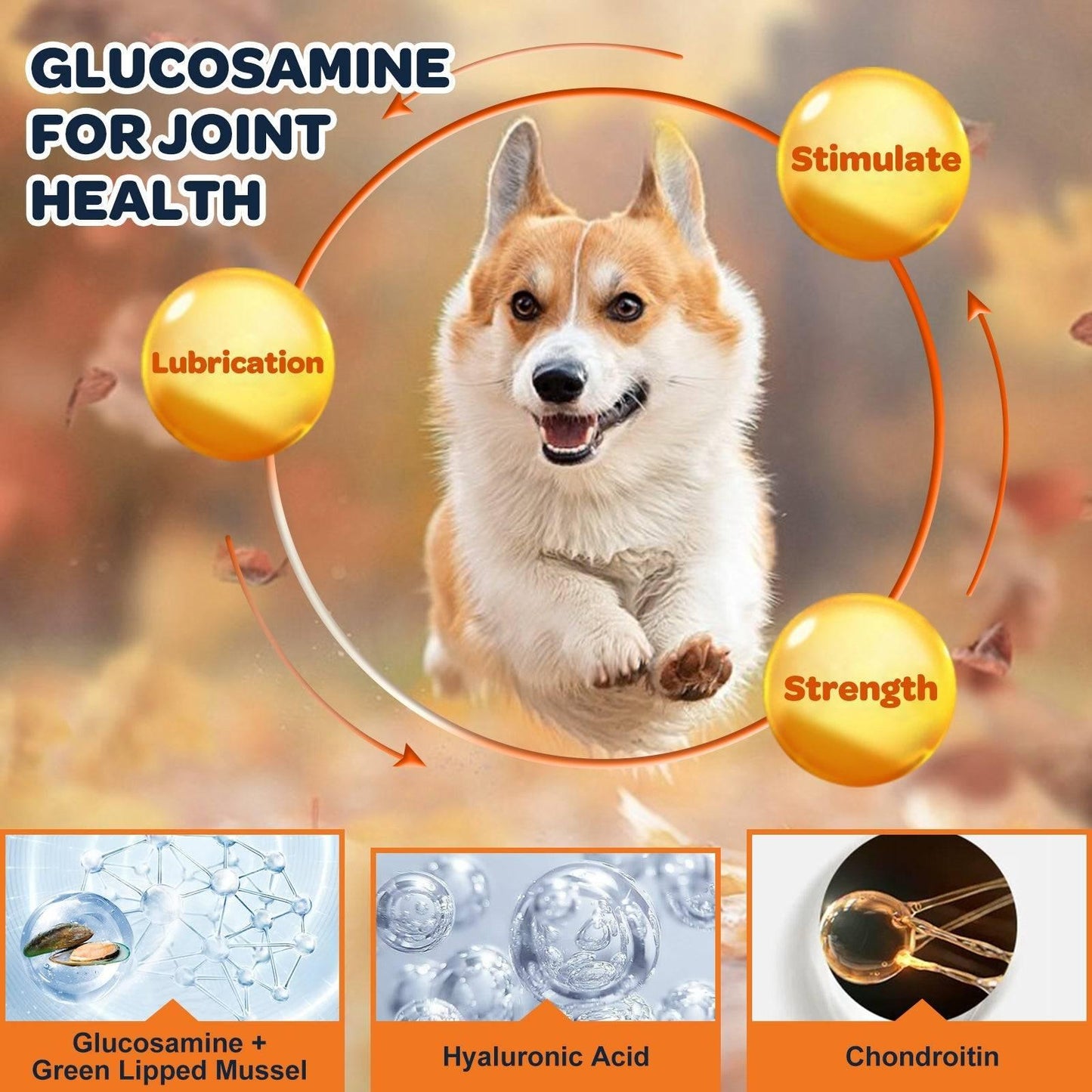 Dog & Cat Glucosamine Chews, 120 Chews