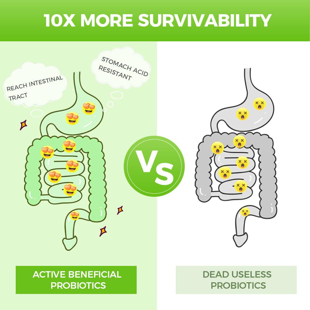 Probiotics Powder for All Ages, 60 Billion CFUs, 30 Packets