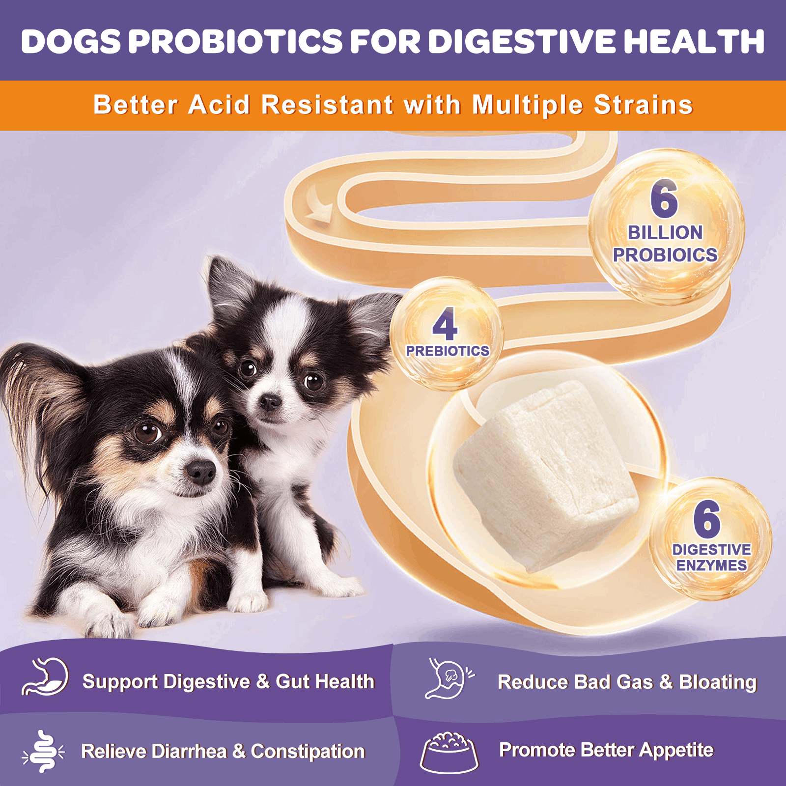 Dogs & Cats Omega-3 Chicken Flavor Probiotics, 6 Billion Probiotics, 120 Chews