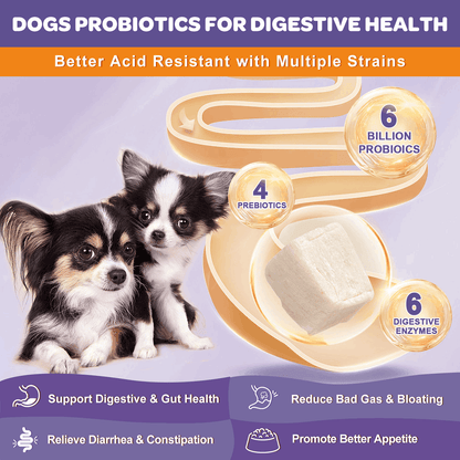 Dogs & Cats Omega-3 Chicken Flavor Probiotics, 6 Billion Probiotics, 120 Chews
