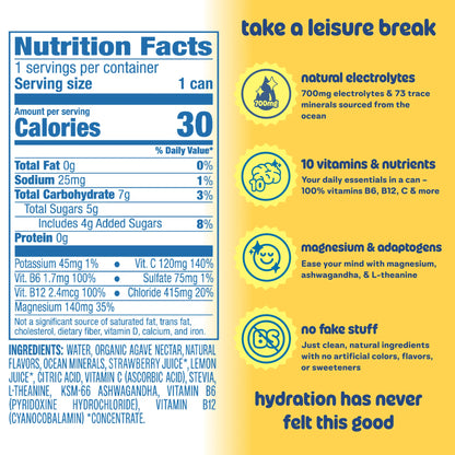 Lemonade 12-Pack