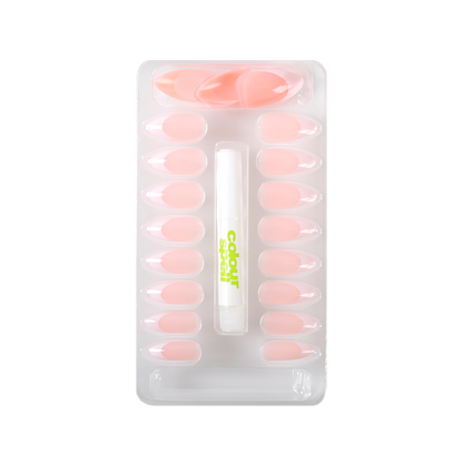 Press On Nails & Glue -Classic