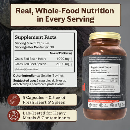 Ironclad (Iron Support Supplement)
