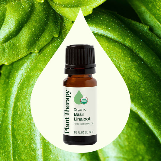 Aceite esencial de albahaca linalol orgánico