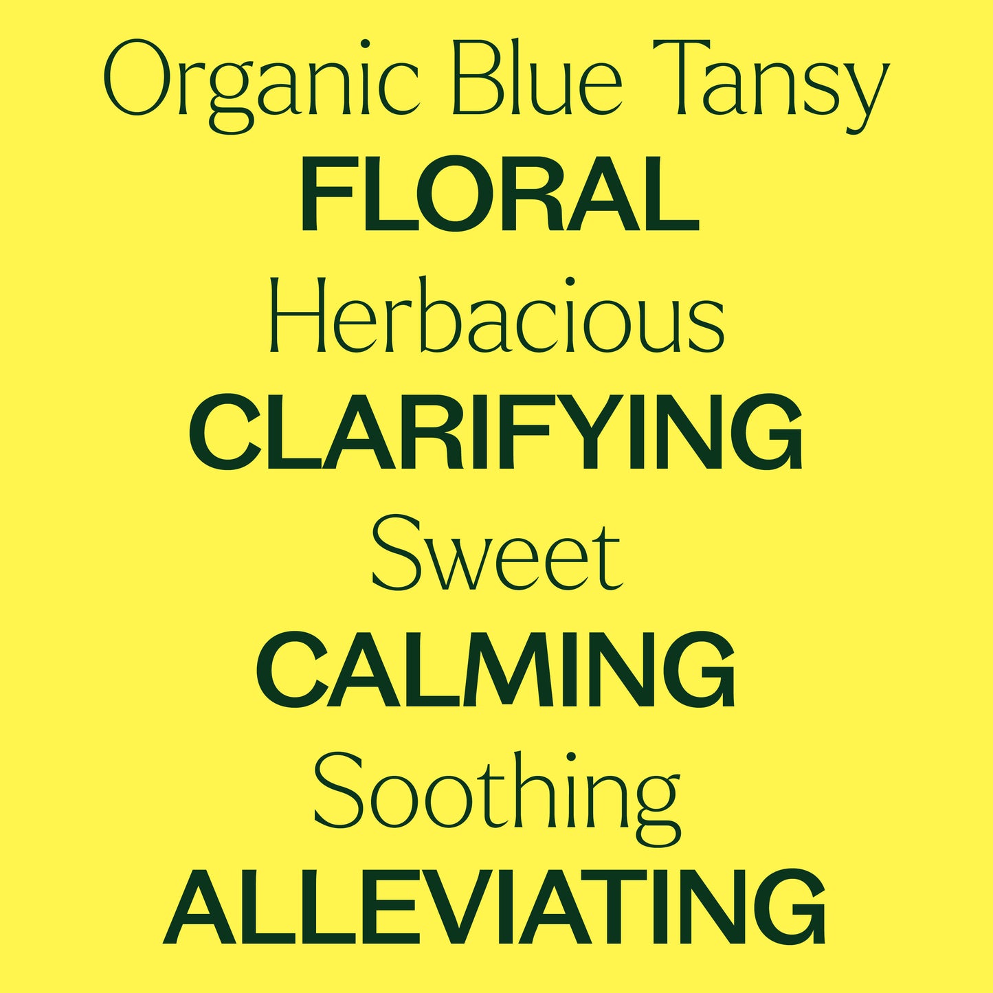 Organic Blue Tansy Essential Oil