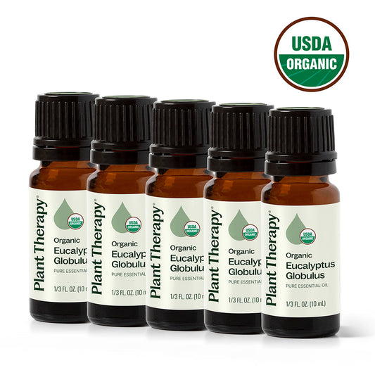 Organic Eucalyptus Globulus 5-Pack