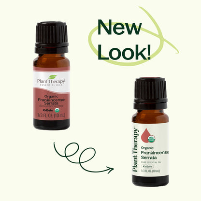 Organic Frankincense Serrata Essential Oil