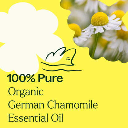 Aceite esencial de manzanilla alemana orgánica