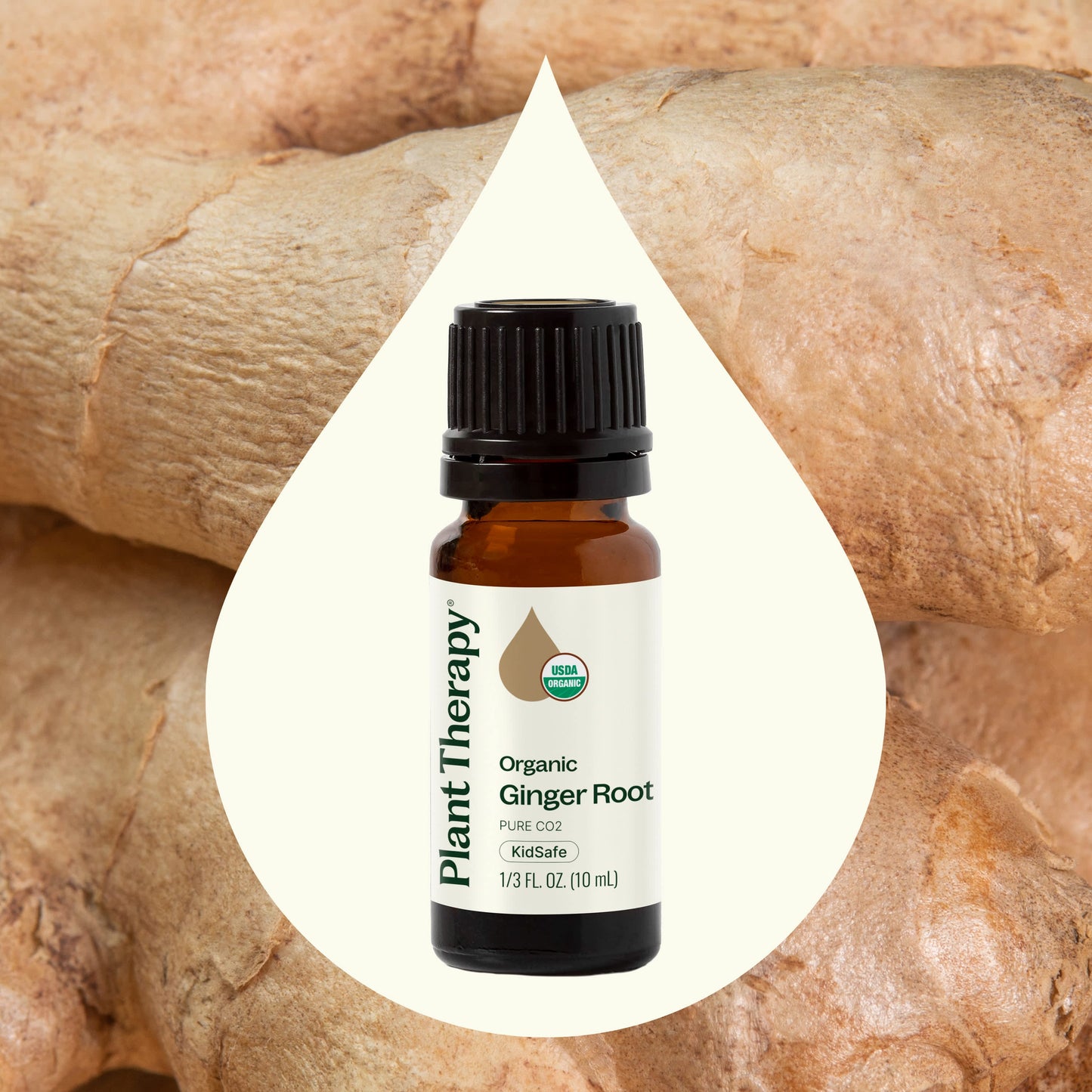 Organic Ginger Root CO2