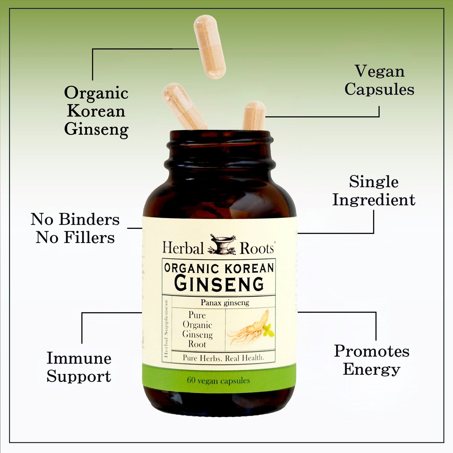 Korean Ginseng