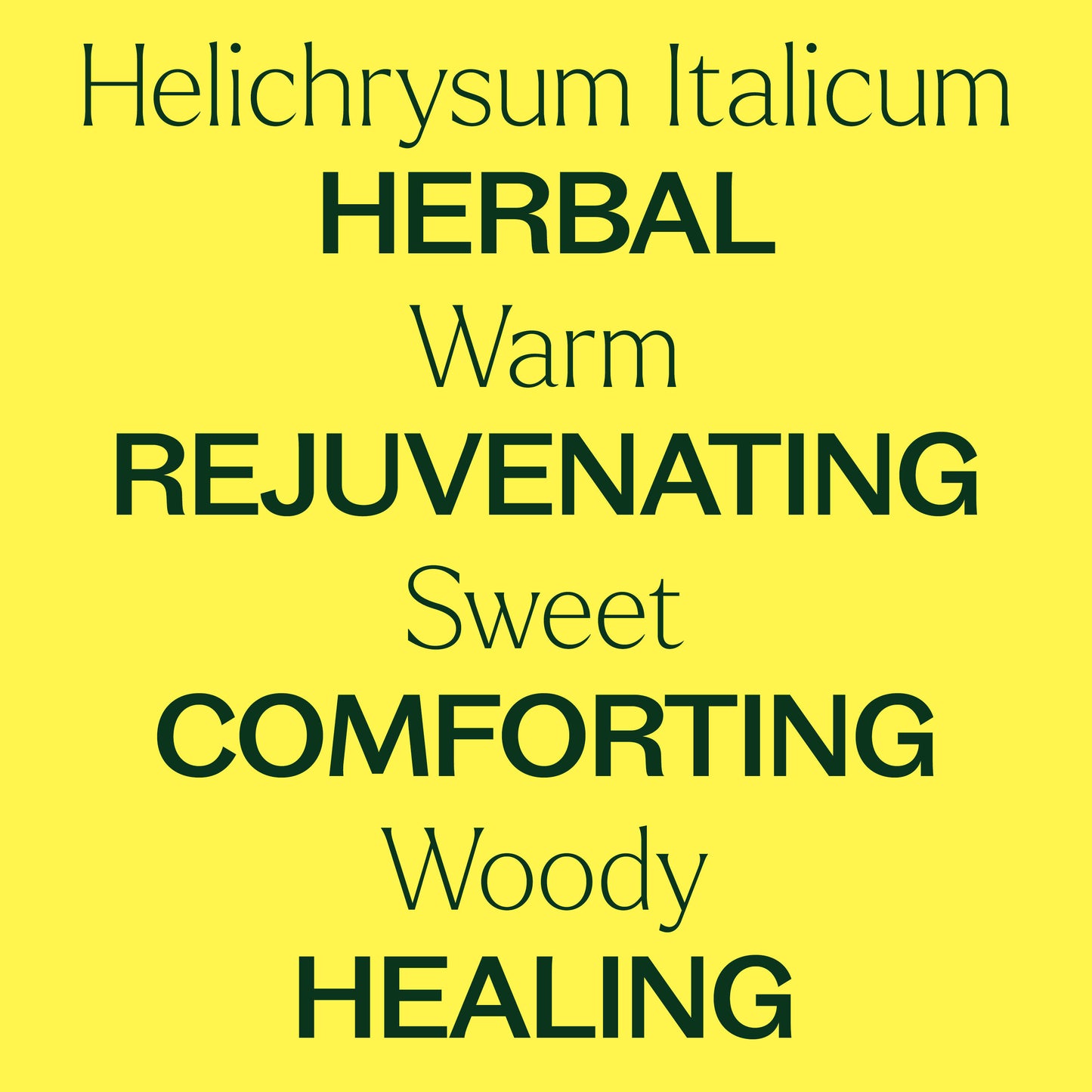 Aceite Esencial de Helichrysum Italicum Orgánico