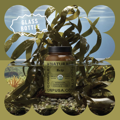 Organic Kelp Capsules
