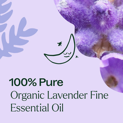 Aceite esencial fino de lavanda orgánica