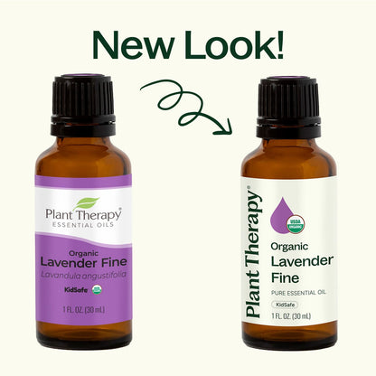 Organic Lavender Fine Essential Oil