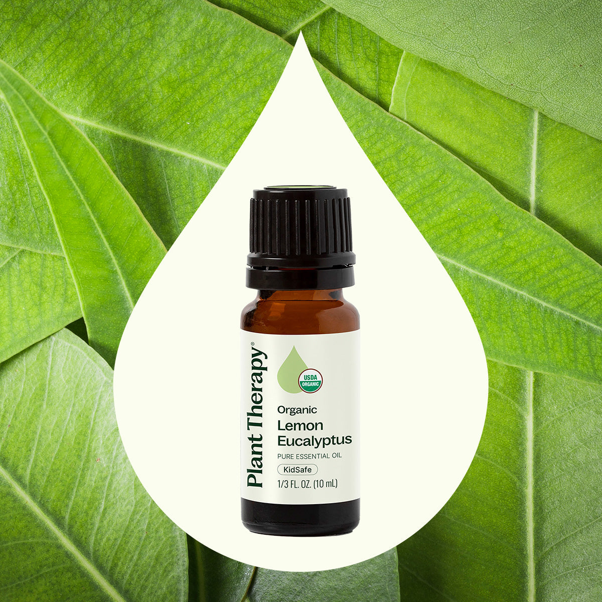Aceite esencial de eucalipto y limón orgánico