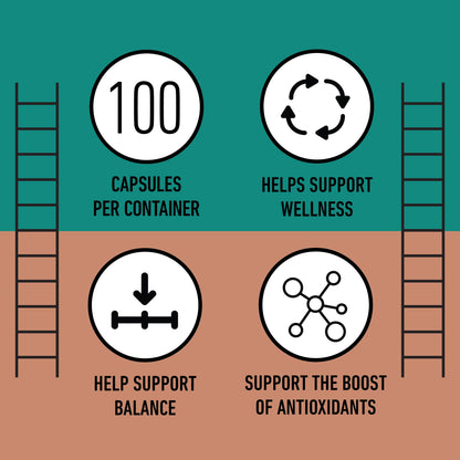 Cápsulas de Maitake orgánico