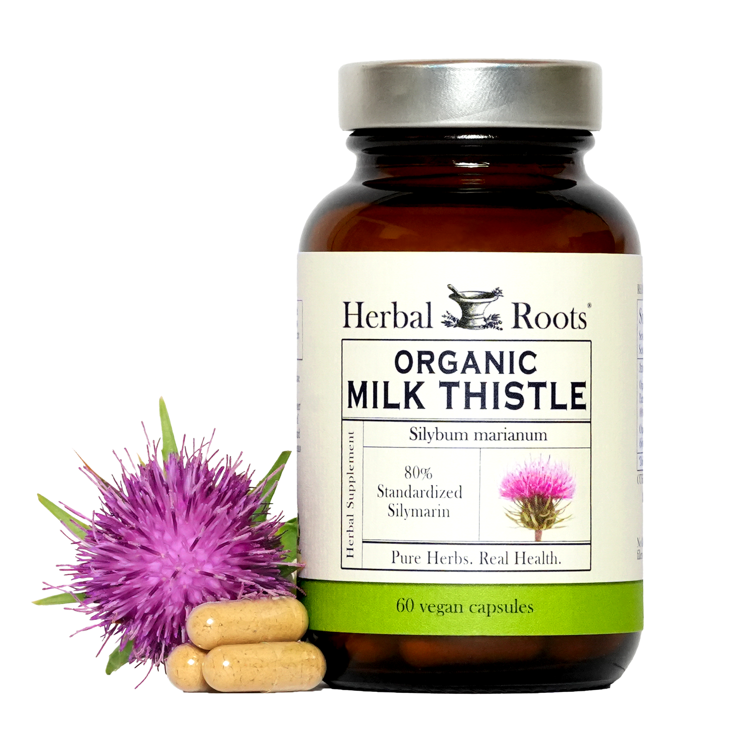 Milk Thistle