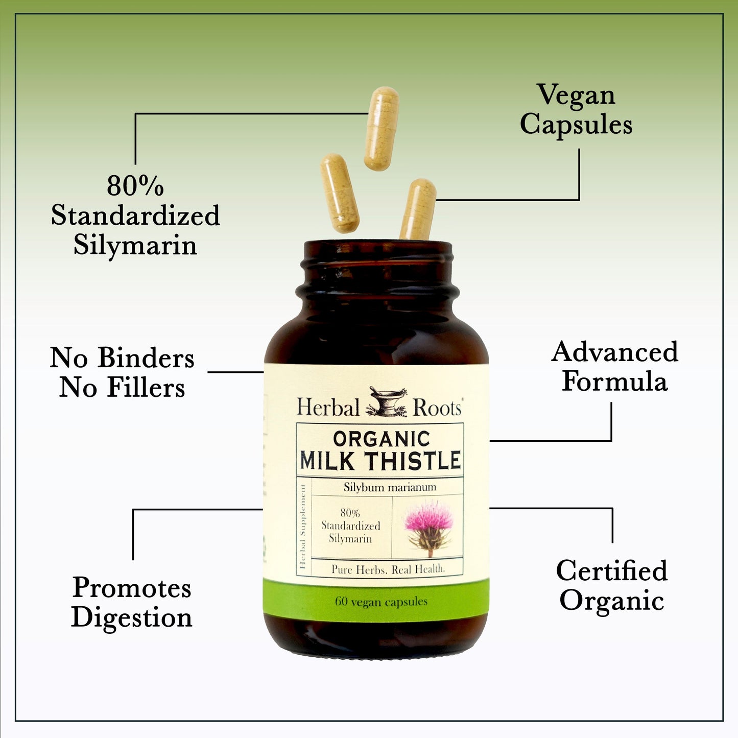 Milk Thistle