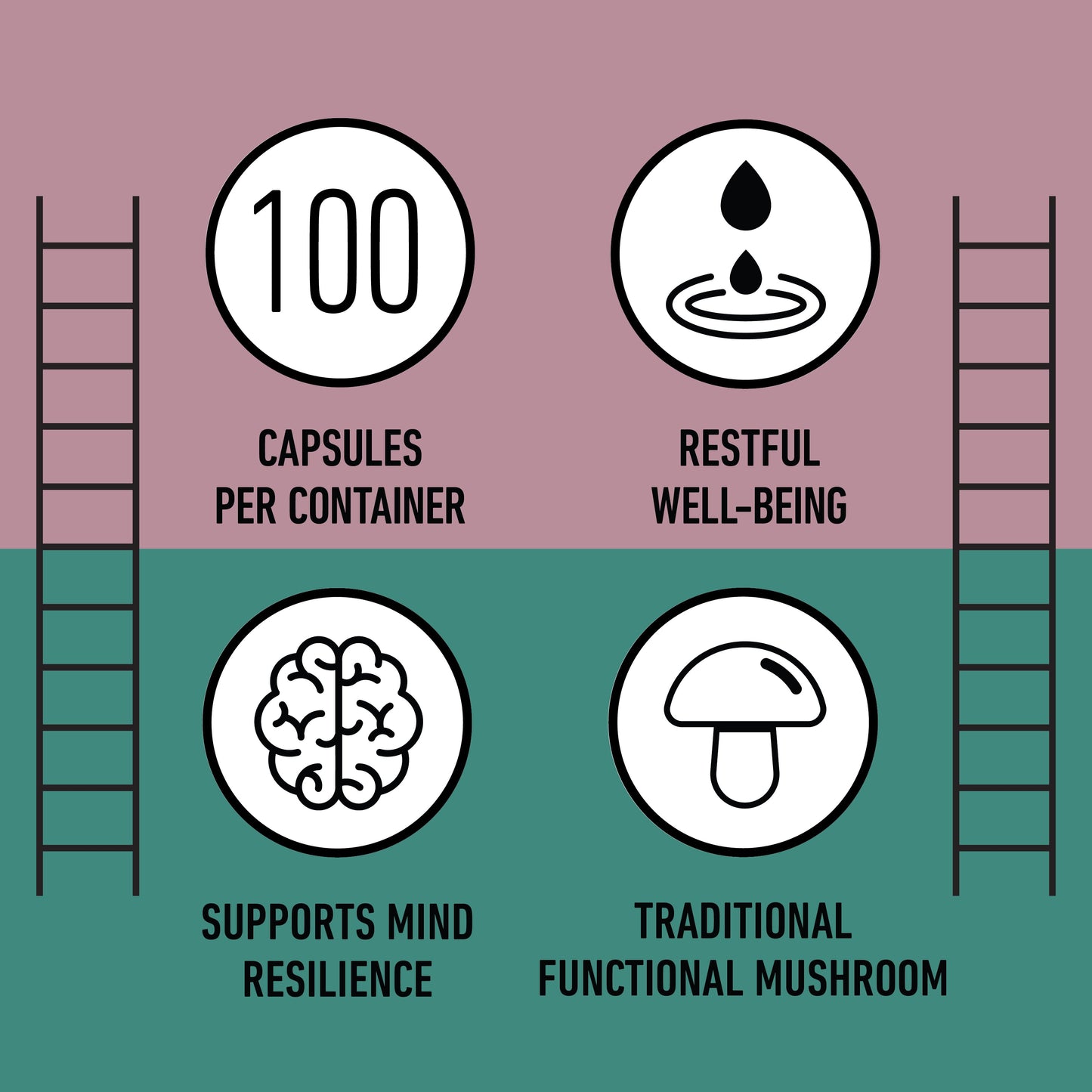 Organic Reishi Capsules