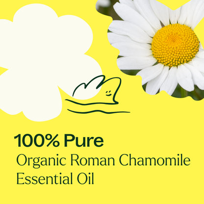Aceite esencial de manzanilla romana orgánico