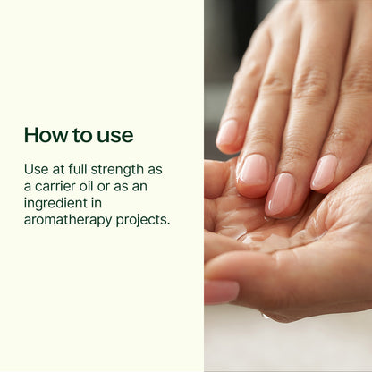 Organic Sunflower Carrier Oil