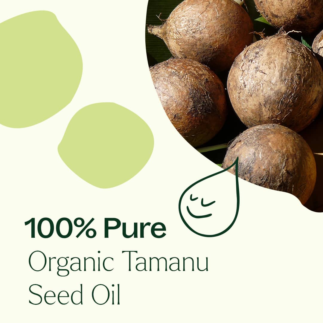 Organic Tamanu Carrier Oil 4 oz