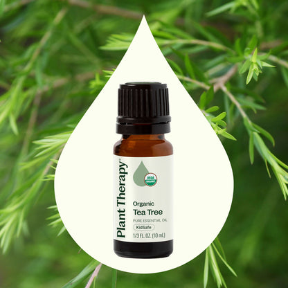 Aceite esencial de árbol de té orgánico