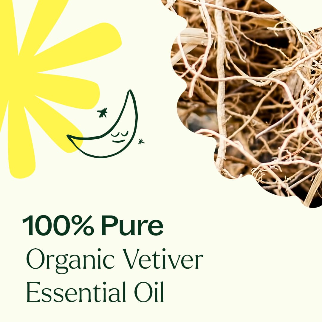 Huile essentielle de vétiver biologique