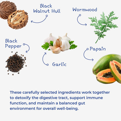 Para911 Intestinal Parasite Cleanse