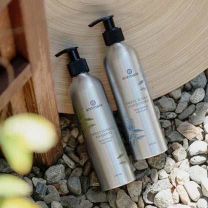 Sweet Sunrise Shampoo (240ml)- Collective