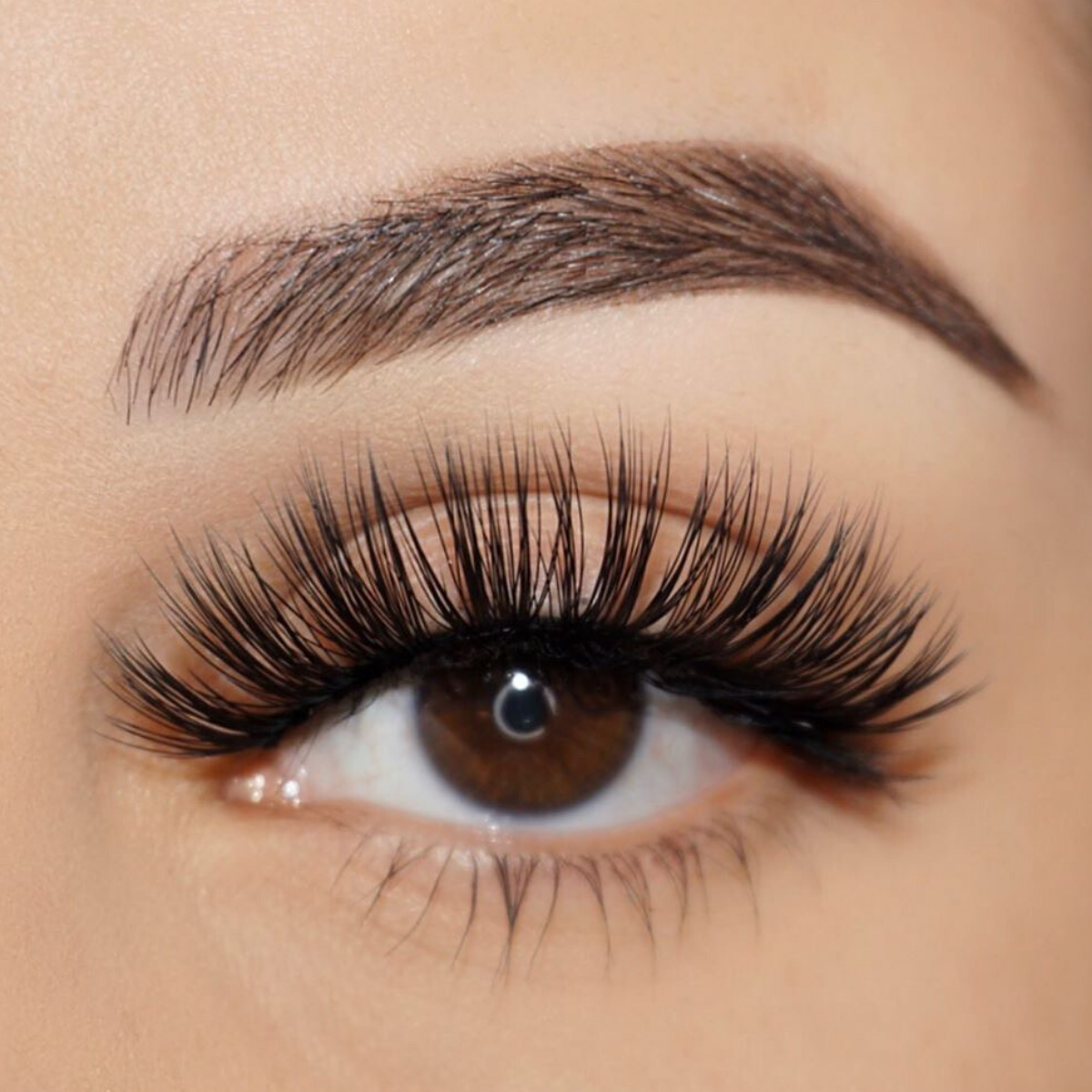 Cruelty Free High volume faux mink lashes PHOENIX