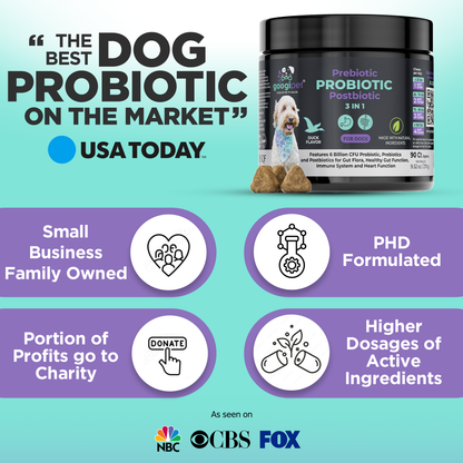 Masticables probióticos 3 en 1 para perros