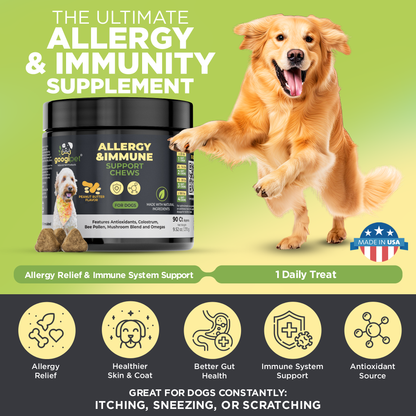 Friandises à Mâcher pour Chiens (Goût Beurre de Cacahuète) – Soutien Allergies & Immunité