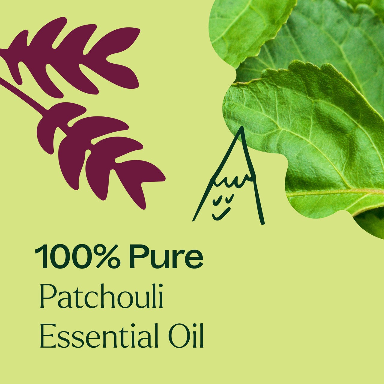 Huile Essentielle de Patchouli