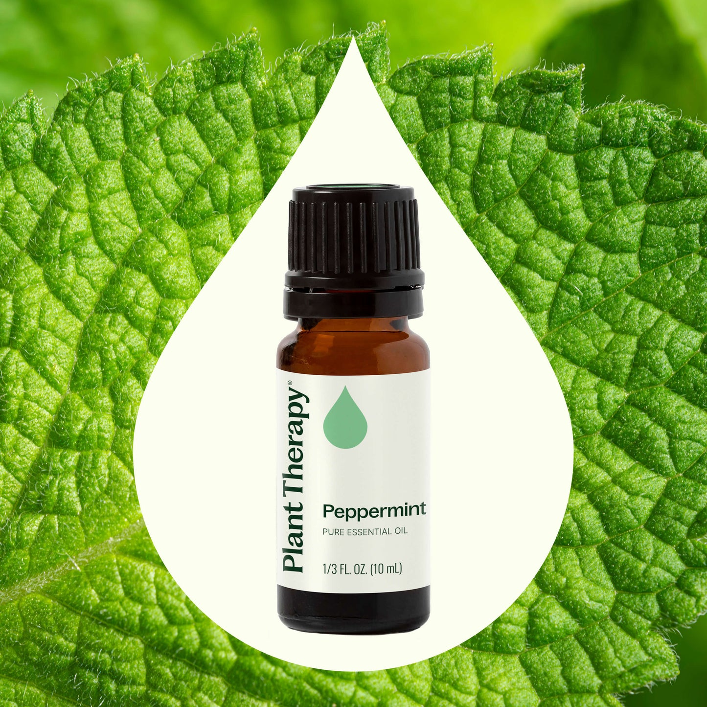 Aceite esencial de menta