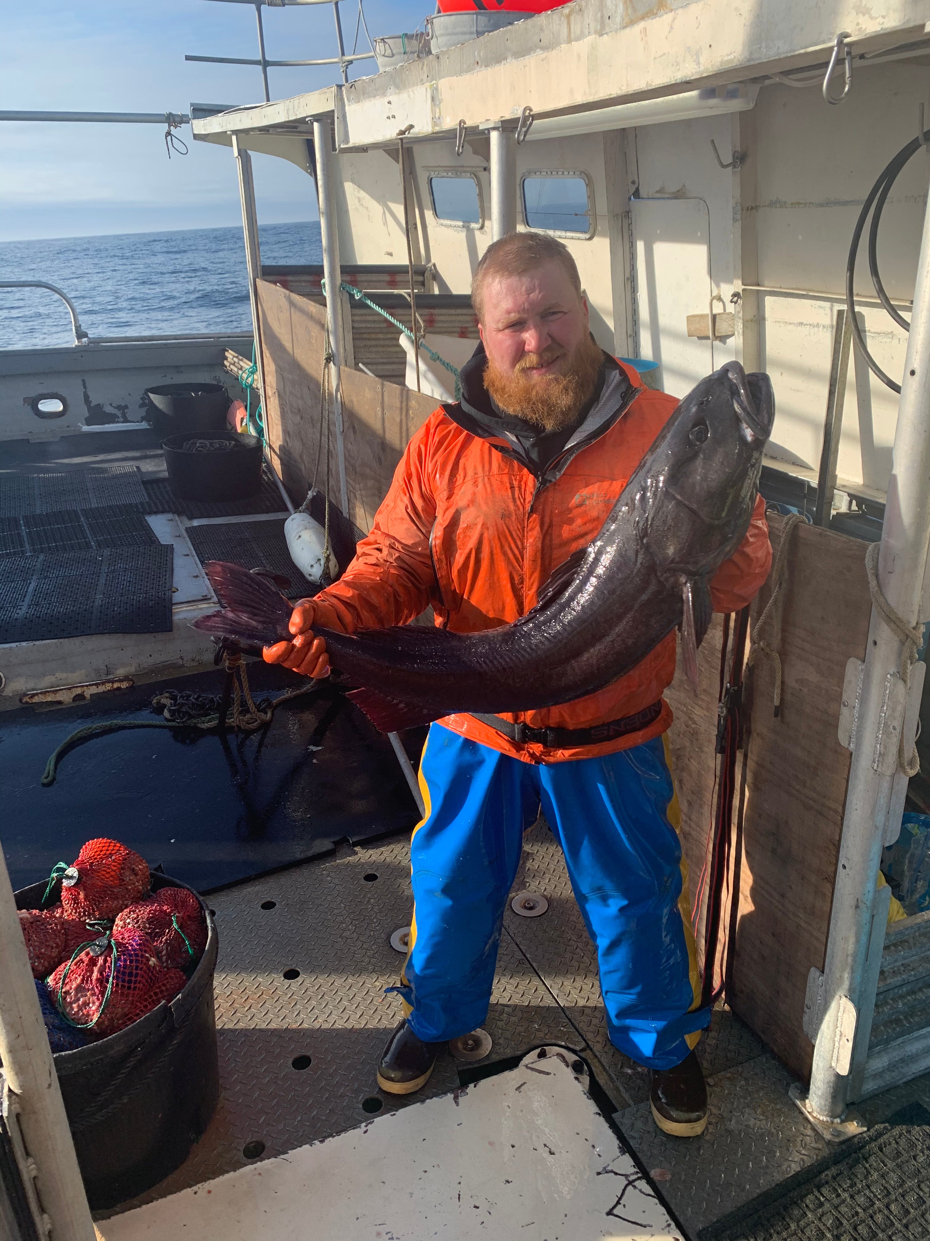 Wild Alaskan Black Cod Share - 20 lbs. – Daily Health & Beauty