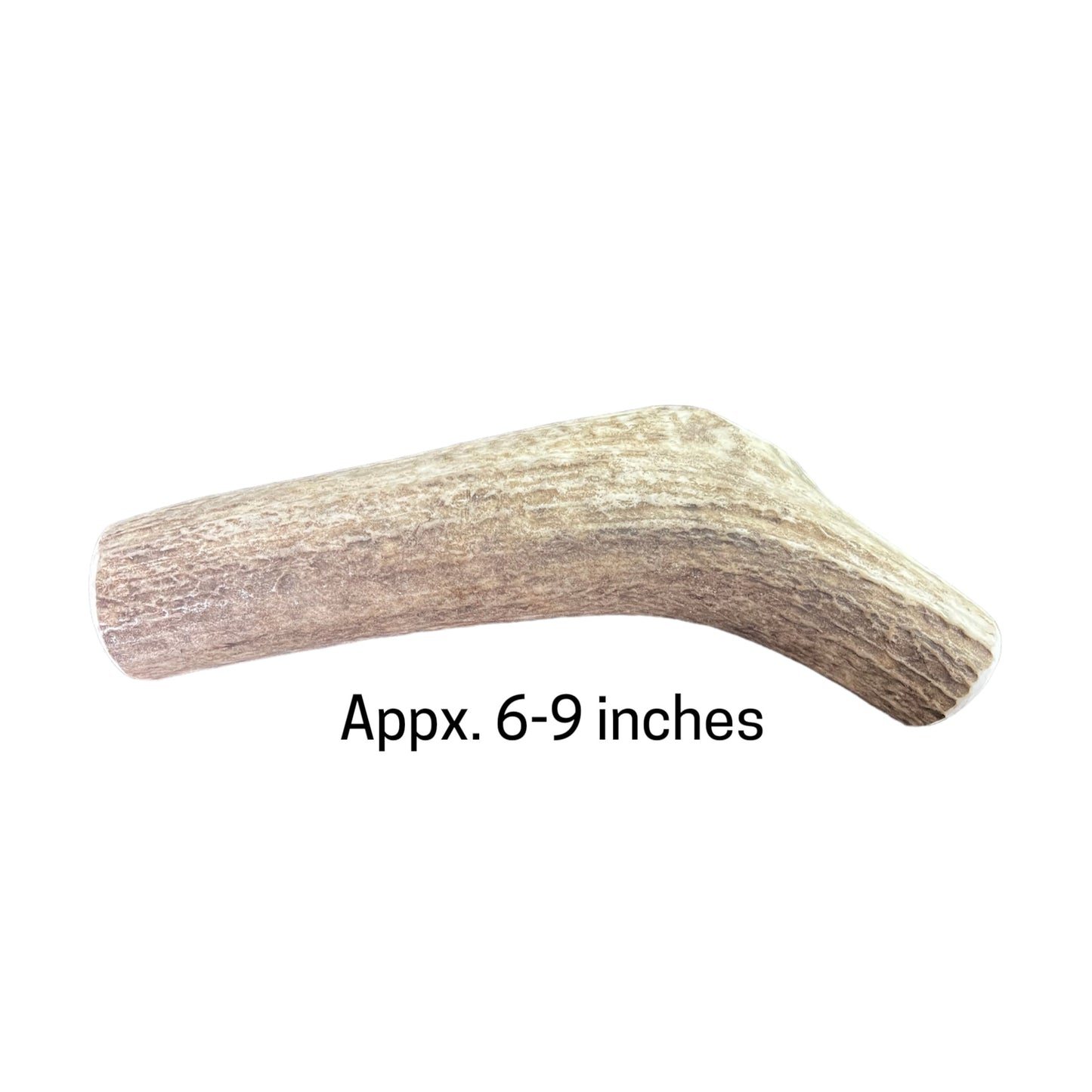 Elk Antlers