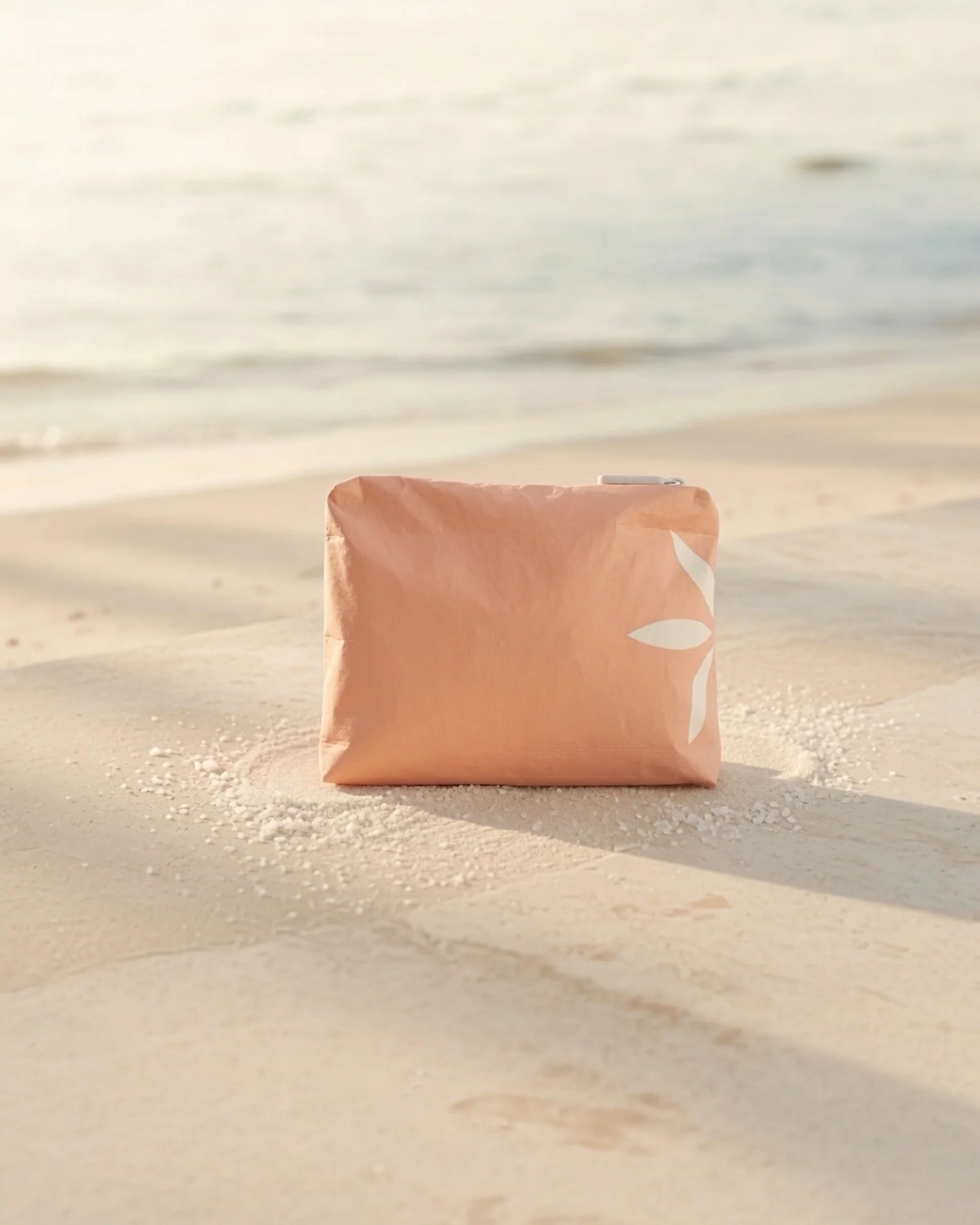 La bolsa de bikini