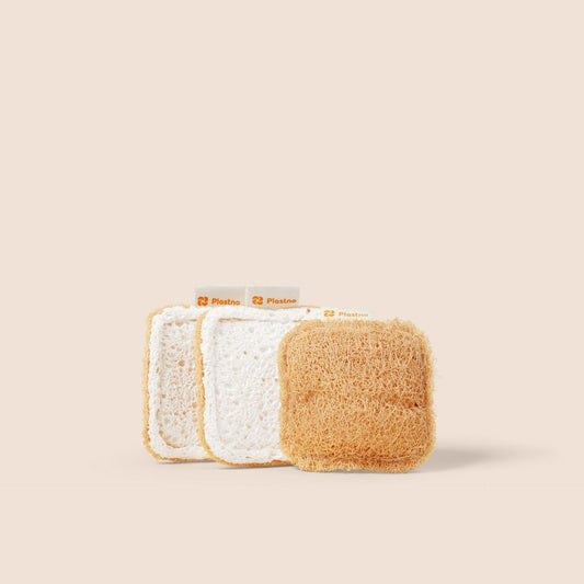 Scrub Sponge