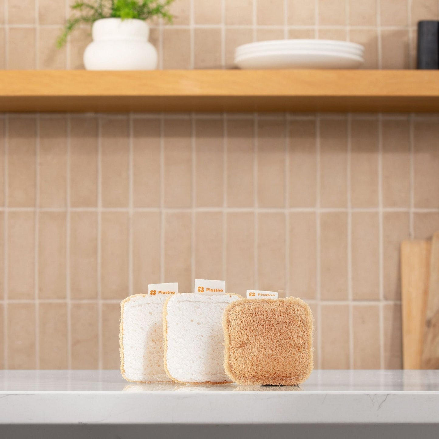 NoPlastic Scrub Sponge