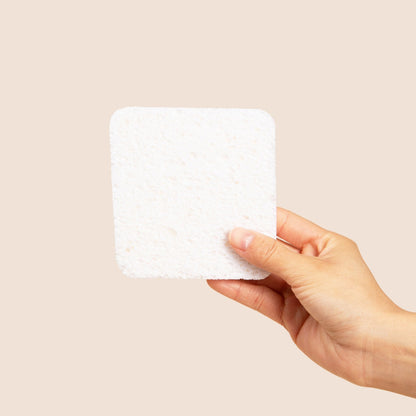 NoPlastic Soak Sponge
