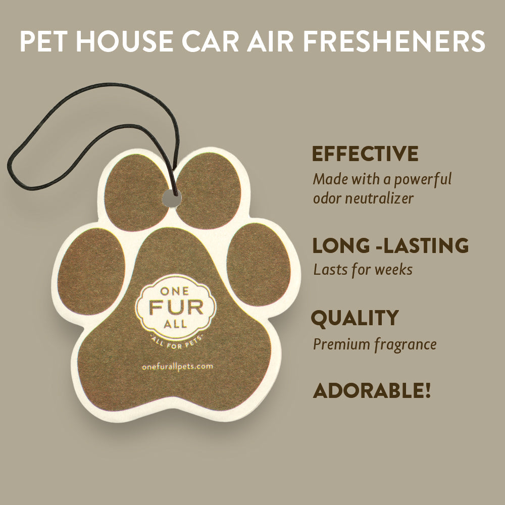 Pumpkin Spice Car Air Freshener