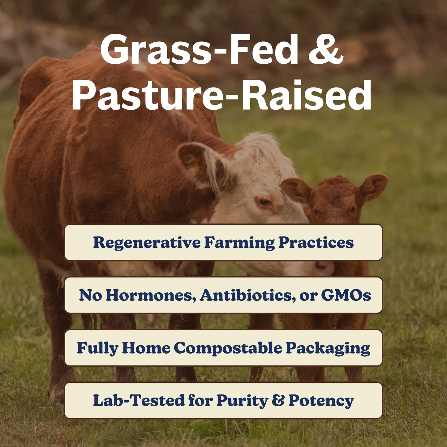 Collagen & Colostrum