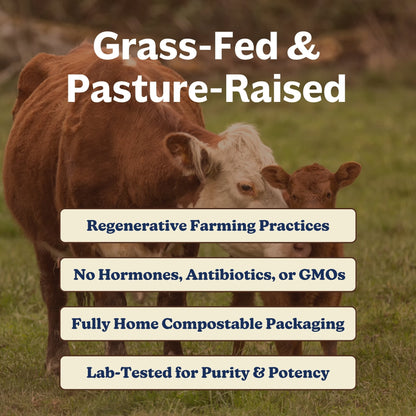 Collagen & Colostrum