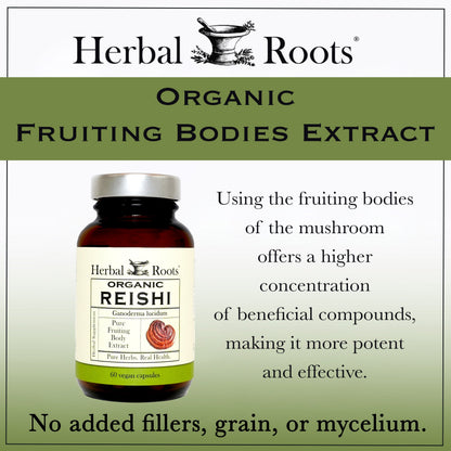 Organic Reishi Mushroom
