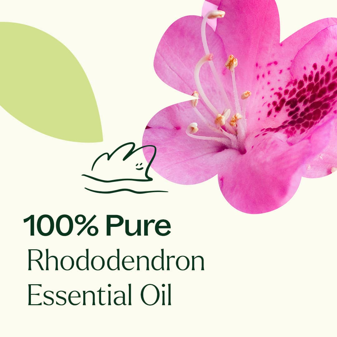 Aceite esencial de rododendro