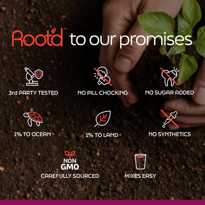 Paquete de bienestar para parejas: El multivitamínico hidratante para ella y para él