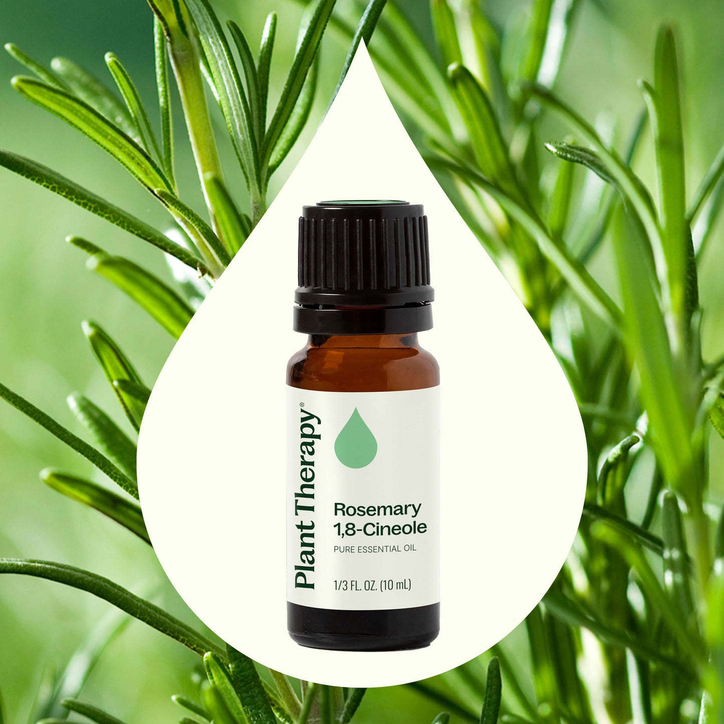 Aceite esencial de romero 1,8-cineol